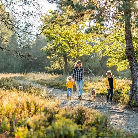 Welcome In - Mit Dachterrasse Direkt An Der Piste Apartamento *