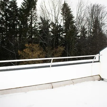 Апартаменты Welcome In - Mit Dachterrasse Direkt An Der Piste Винтерберг