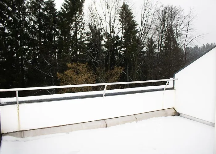 Апартаменты Welcome In - Met Dakterras Nabij Skipiste Винтерберг